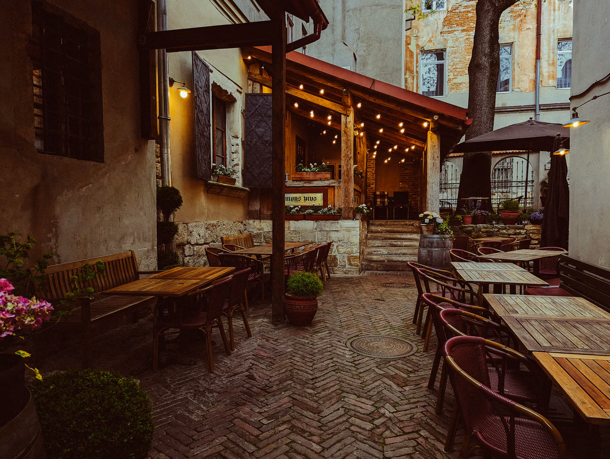 Exploring the Charm of Bakery Cafés: A Culinary Delight